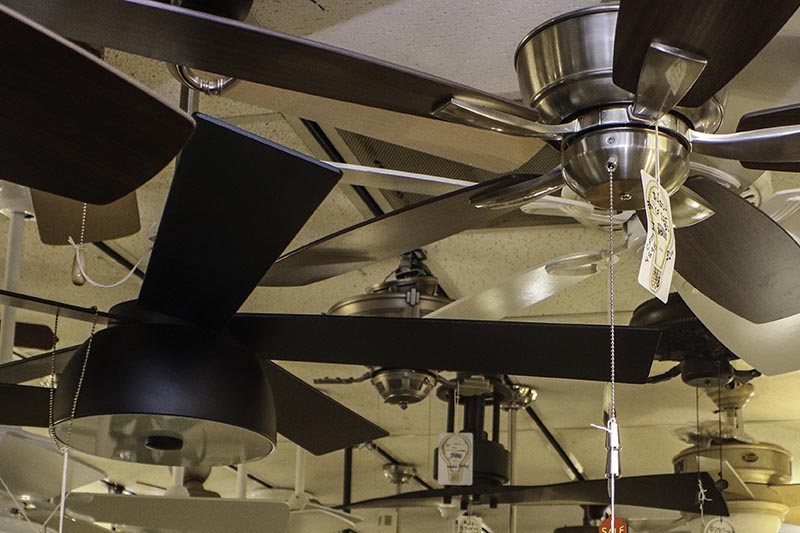 The Fan Wall — Wholesale Lighting Daytona showroom