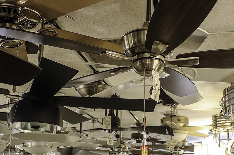 The Fan Wall — Wholesale Lighting Daytona showroom