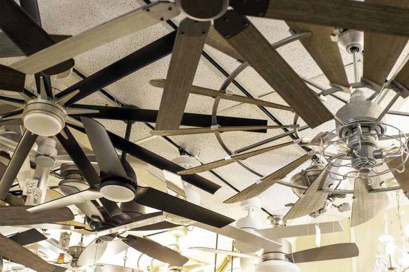 Ceiling Fans — Wholesale Lighting Daytona showroom